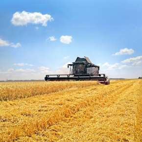 Kombajn Rostselmash RSM 161 heder 9 m na korbanek.pl