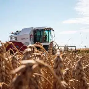 Nova 330 koszenie zboża na www.korbanek.pl