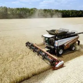 Rostselmash Torum 770 podczas pracy na polu na korbanek.pl