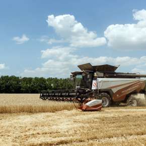 Rostselmash Torum 770 od lewej strony na polu na korbanek.pl