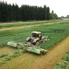 Żółty traktor rolniczy firmy JCB z kosiarkami dyskowymi GigaCUT 861 z transporterami kosi mieszankę gorzowską www.korbanek.pl
