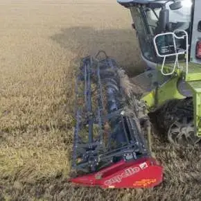 Capello Grain System składany heder do kombajnu na korbanek.pl