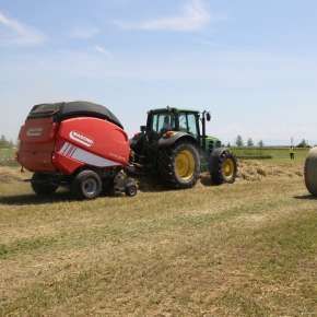 Maschio Extreme 365 podczas pracy