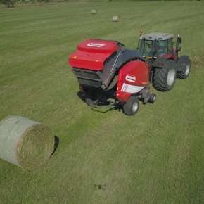Maschio 365 na polu