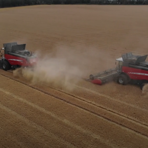Dwa Massey Ferguson Delta na polu od góry