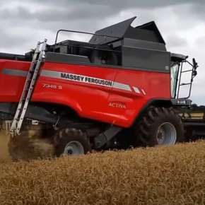 Kombajn Zbożowy Massey Ferguson 7345 zbiór zboża na korbanek.pl