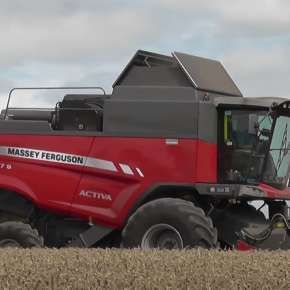 Kombajn Zbożowy Massey Ferguson 7347 zbiór zboża na korbanek.pl