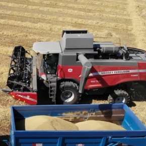 Kombajn Massey Ferguson 7360 Beta na korbanek.pl
