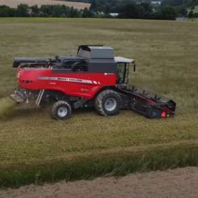 Massey Ferguson 7370 Beta zbiór zbóż na korbanek.pl
