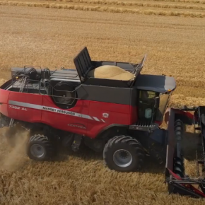 Massey Ferguson Centora podczas pracy