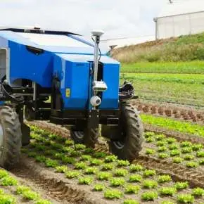 Robot do pielenia chwastów w uprawie warzyw Carre ANATIS