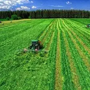 Na dużej łące skoszoną trawę przetrząsa ciągnik rolniczy za pomocą przetrząsacza zawieszanego P6-771 firmy Samasz www.korbanek.pl