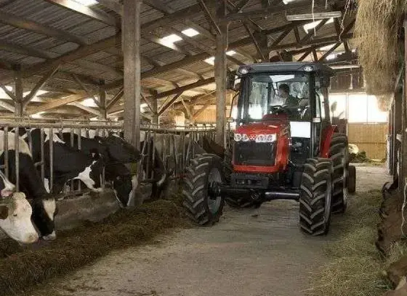 Pokazowy ciągnik rolniczy do MF 3625 w okazyjnej cenie