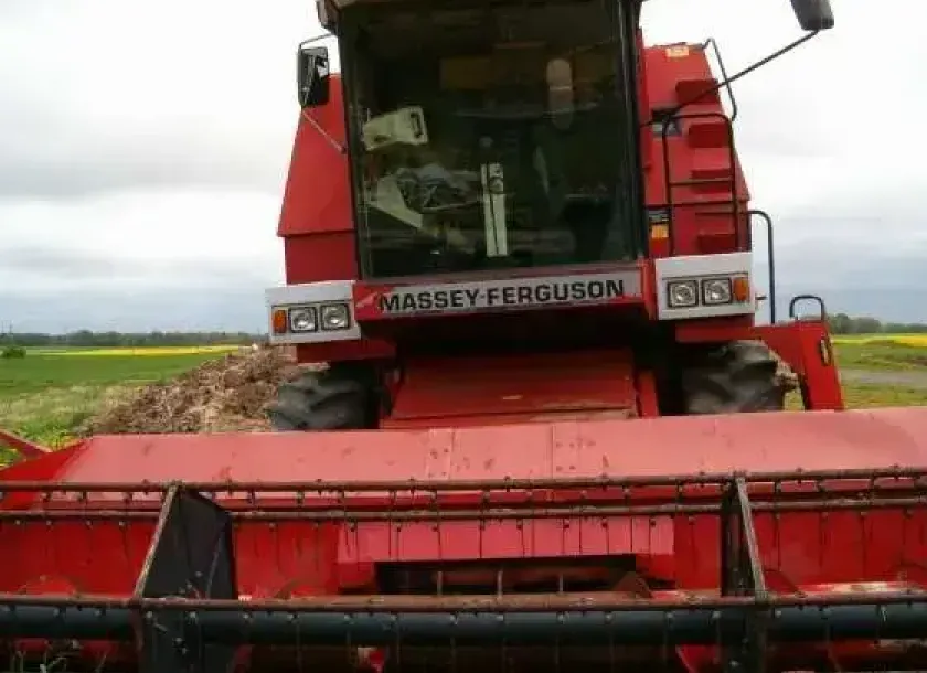 Przód massey fergusona 34 korbanek.pl kombajn zbożowy