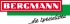 Logotyp firmu bergman napis biały na czerwono zielonym tle