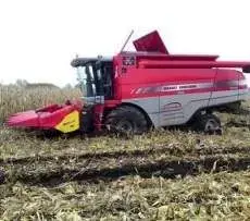 Kombajn Massey Ferguson Centora w pracy na polu kukurydzy zakopany w rozmokłym terenie