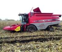 Kombajn Massey Ferguson Centora w pracy na polu kukurydzy zakopany w rozmokłym terenie