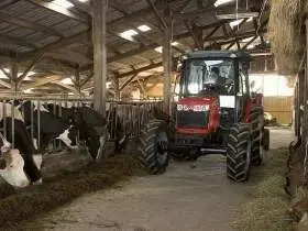 Pokazowy ciągnik rolniczy do MF 3625 w okazyjnej cenie