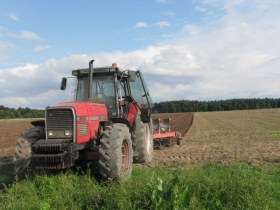 Ciągnik Massey Ferguson 3680 z pługiem  na polu