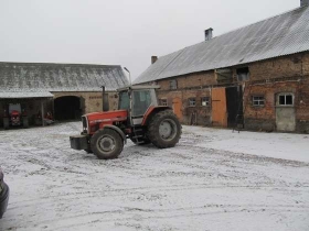 Traktor Massey Ferguson 3630 1993 roku