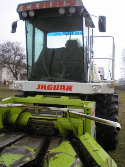 Używana Sieczkarnia samojezdna Claas Jaguar 800 widok z przodu