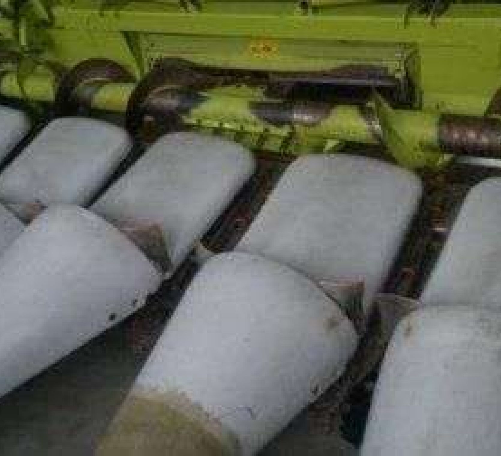 Używany Adapter do kukurydzy marki Claas Conspeed
