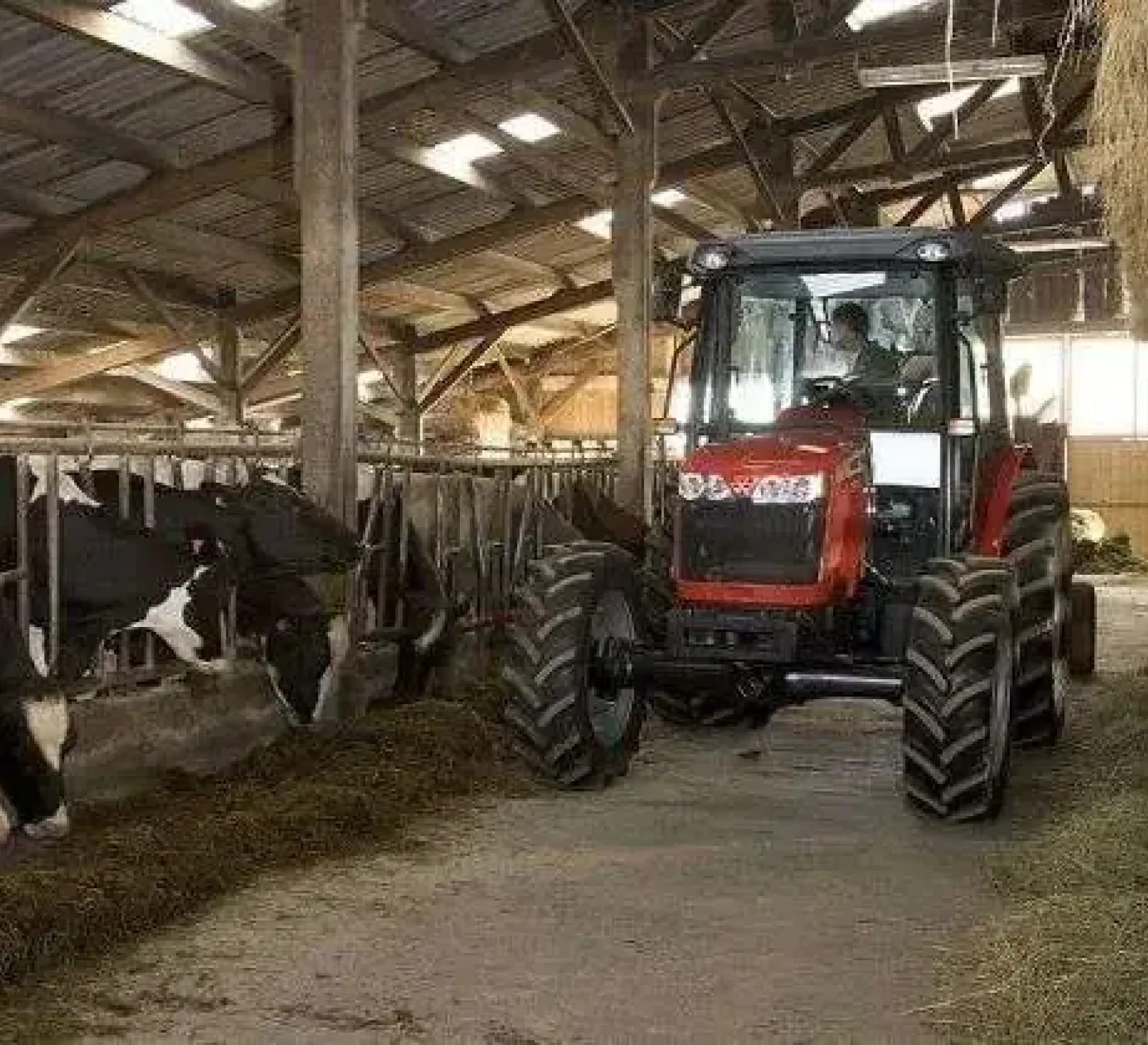 Pokazowy ciągnik rolniczy do MF 3625 w okazyjnej cenie