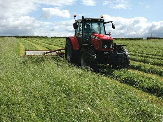 Praca w polu łąka Ciągnik rolniczy Massey Ferguson 5465 132 KM korbanek.pl