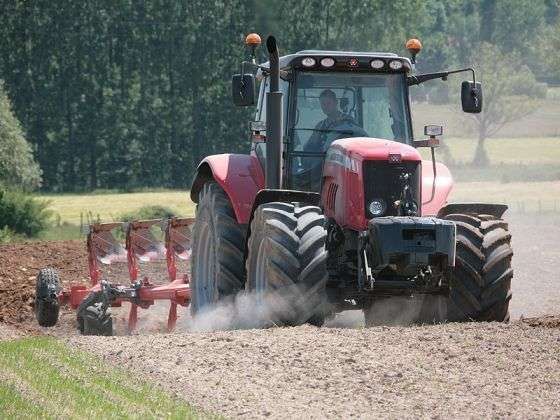 Ciągnik Massey Ferguson z pługiem podczas prac uprawowych