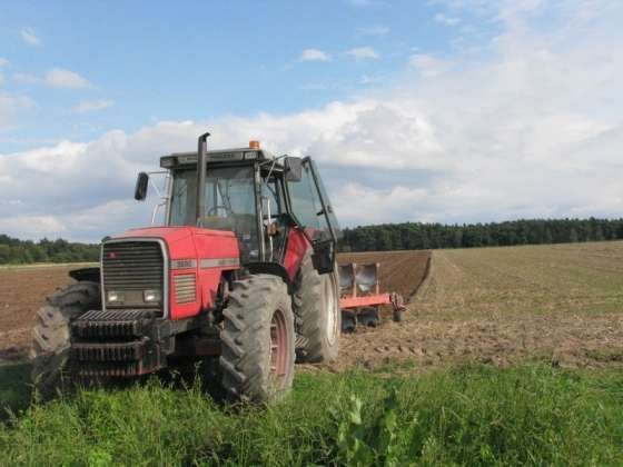 Ciągnik Massey Ferguson 3680 z pługiem  na polu