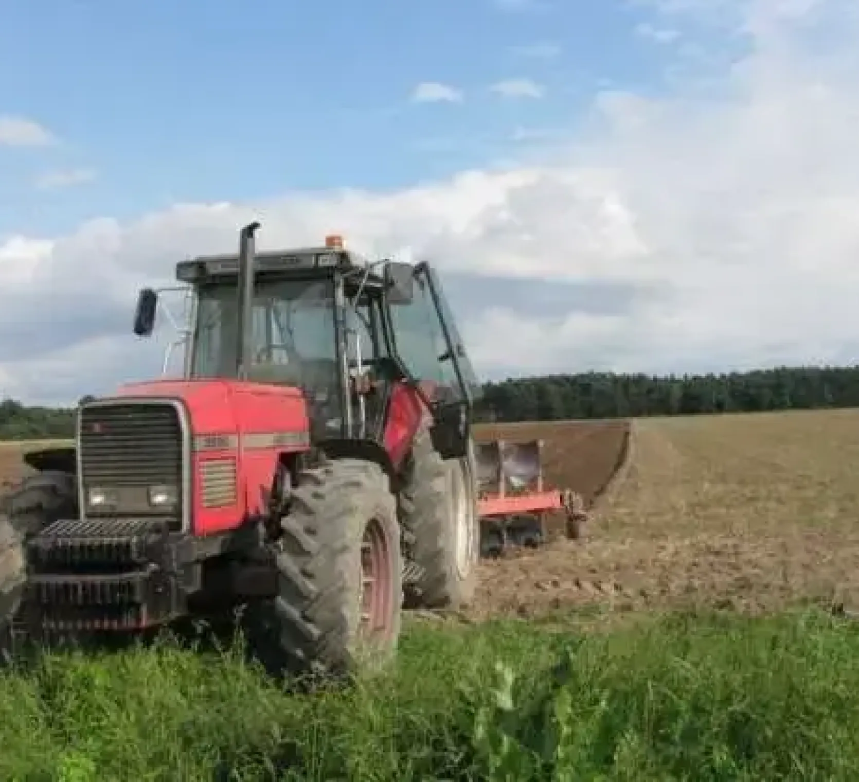 Ciągnik Massey Ferguson 3680 z pługiem  na polu