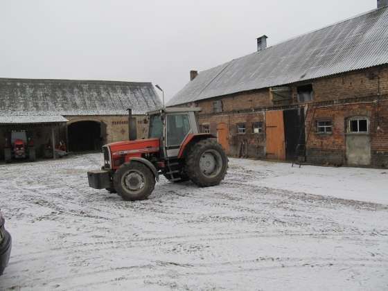 Traktor Massey Ferguson 3630 1993 roku