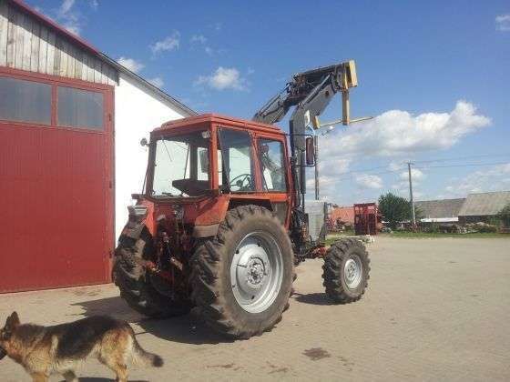 Tył ciągnika MTZ 82 z ładowaczem Quicke z zamontowanymi widłami do palet 