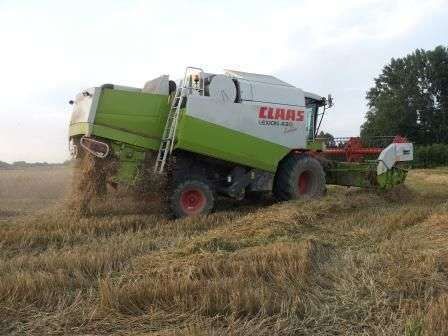 Używany Kombajn Claas Lexion 430 rok produkcji 2003 podczas koszenia 