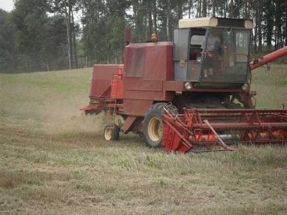 podczas pracy w polu używany kombajn zbożowy Bizon Z 056 1986 r czerwony z kabiną z rozłożoną rurą wyładunkową