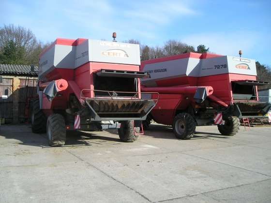 2 Kombajny Zbożowe Massey Ferguson CEREA 7278 na placu korbanek.pl