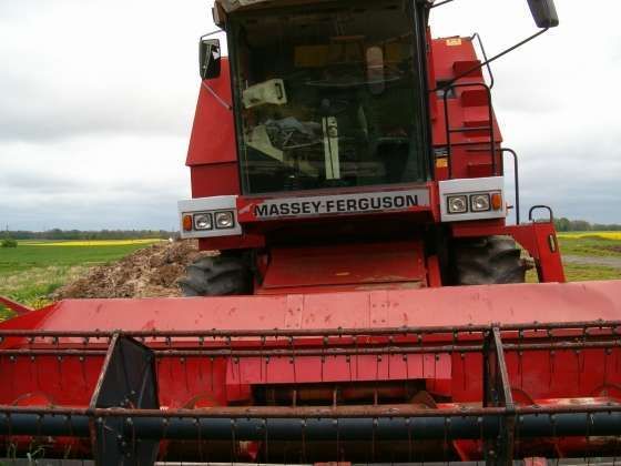 Przód massey fergusona 34 korbanek.pl kombajn zbożowy