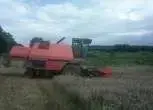 kombajn zbożowy używany DRONNINGBORG D7000