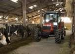 Pokazowy ciągnik rolniczy do MF 3625 w okazyjnej cenie