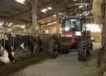 Pokazowy ciągnik rolniczy do MF 3625 w okazyjnej cenie