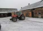 Traktor Massey Ferguson 3630 1993 roku