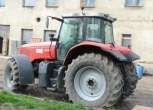 Kultowy TraktorMassey Ferguson 6495 na placu