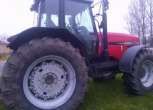 Czerwony zadbany traktor Massey Ferguson 8150 