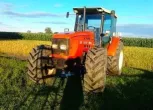 Na tle pola kukurydzy używany ciągnik rolniczy  Same Silver 100.6