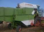 Używany Kombajn CLAAS Dominator 76 rok 1982 widok z prawej strony