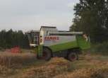 Używany Kombajn Claas Lexion 430 rok produkcji 2003 podczas koszenia widok z lewej strony