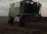 Używany Kombajn Claas Lexion podczas koszenia widok z przodu