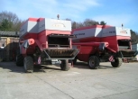 2 Kombajny Zbożowe Massey Ferguson CEREA 7278 na placu korbanek.pl