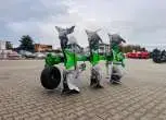 Pług obracalny BOMET lekki pług