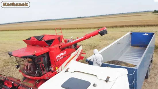 KOSZENIE RZEPAKU CHIŃSKIM KOMBAJNEM